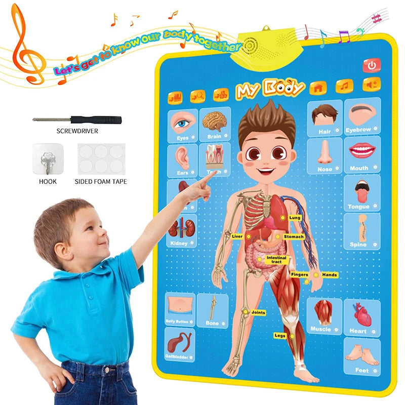 Interactive ABC and 123 Wall Chart