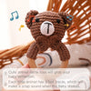Crochet Animal Rattle Bracelet and Wooden Teethe